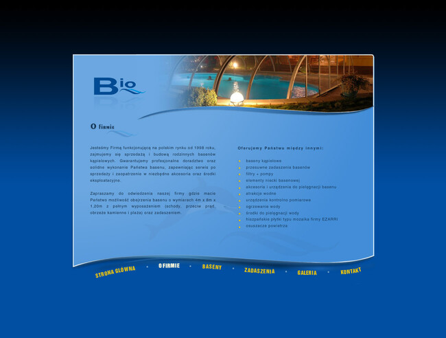Bannery flash dla biznesu - efektowne kreacje reklamowe